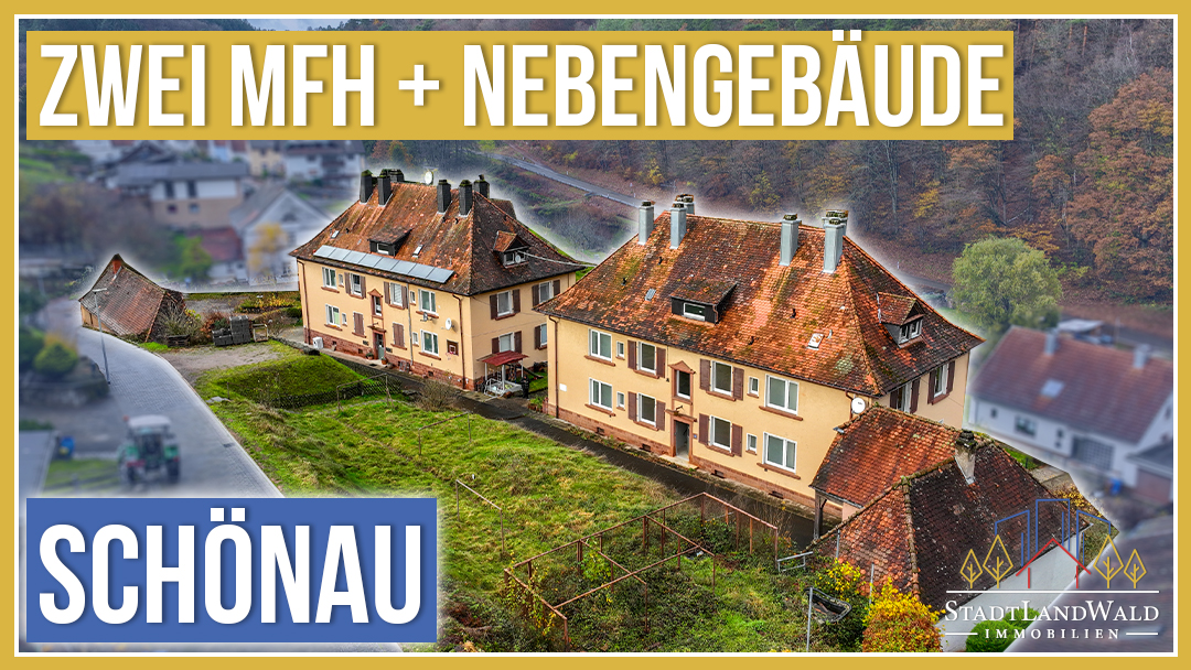 Zollhausensemble in Schönau im Pfälzerwald mit 8 Wohneinheiten, großem Grundstück und Garagen.
