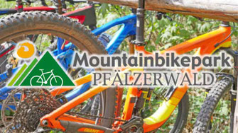 Mountainbiken im Sauertal (Pfälzerwald)